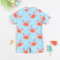 Children's swimsuits, boys' one-piece swimsuits, zippers, short-sleeved shorts, boxer cross-border supply, small crabs, children's swimsuits. 