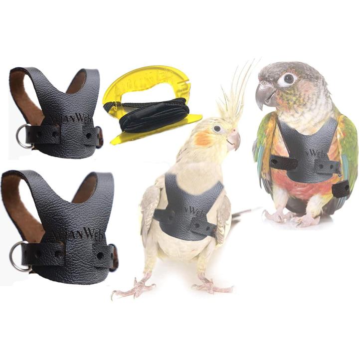 Bird Harness with 2m Leash For Cockatiel Conure Daraz .bd