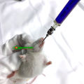Needle No.12 45mm Feeding Gavage Needle Animal Corp Needles for Mice Rat Small Birds. 
