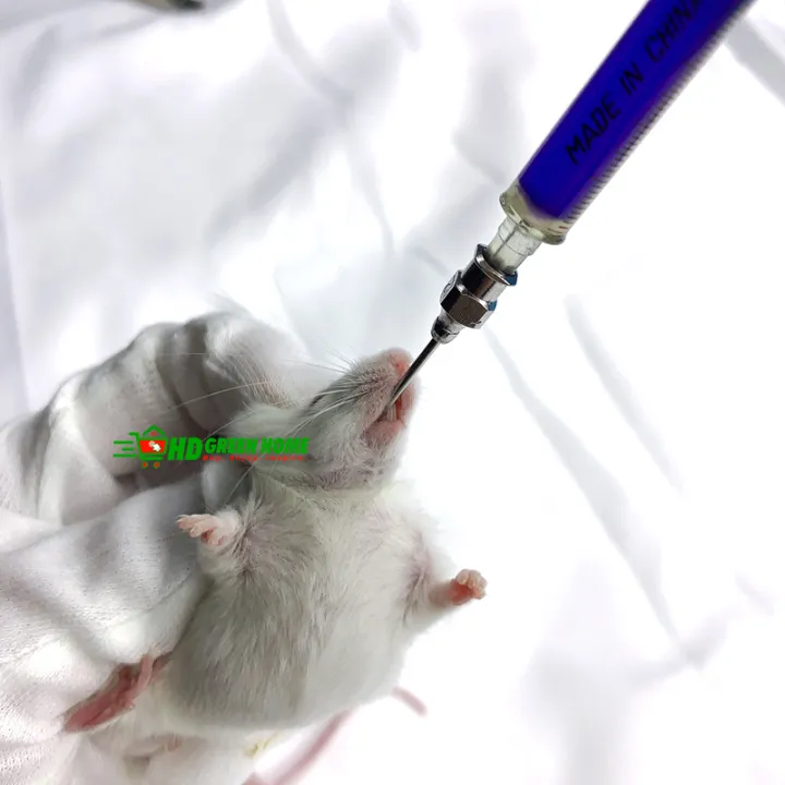 Needle%20No.12%2045mm%20Feeding%20Gavage%20Needle%20Animal%20Corp%20Needles%20for%20Mice%20Rat%20Small%20Birds%20-%20Image%205