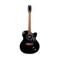 Givson Venus Super Special, 6-Strings, Semi-Electric Guitar, Right-Handed, Black, With Guitar Cover/Bag.