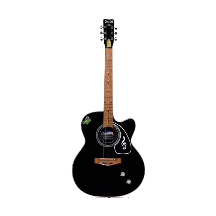 Givson Venus Super Special, 6-Strings, Semi-Electric Guitar, Right-Handed, Black, With Guitar Cover/Bag