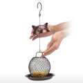 Bird Feeder with Squirrel-proof Lid Spacious Standing Feeding Space for Birds. 
