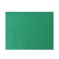 Green Cotton Photo Backgrounds Studio Photography Screen Backdrop Cloth. 