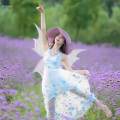 Fairy Wing Costume Wing Cosplay Photography Prop Dress up Adult Princess Kids Butterfly Wing Elf Wing for Masquerade Party Festival Birthday. 