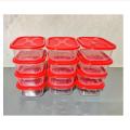 12Pis Plastic Mini Box MultiColour 300ml. 