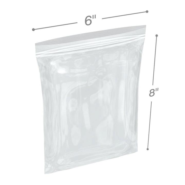 Plastic Zip Lock Pouch Bags (100 pcs) Size
