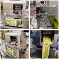 Electric Sugarcane Juicer Machine.