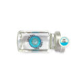 Bella Contact Lens- counture blue.