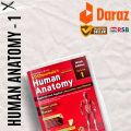 BD CHAURASIA'S HUMAN ANATOMY 9th EDITION (UPPER LIMB & THORAX) VOLUME- 1. 