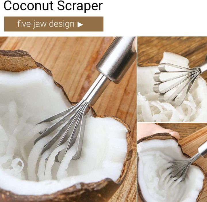 Stainless%20Steel%20Coconut%20Meat%20Removal%20/%20Coconut%20Meat%20Grater%20Slicer%20Fish%20Scale%20Planning%20-%20Image%202