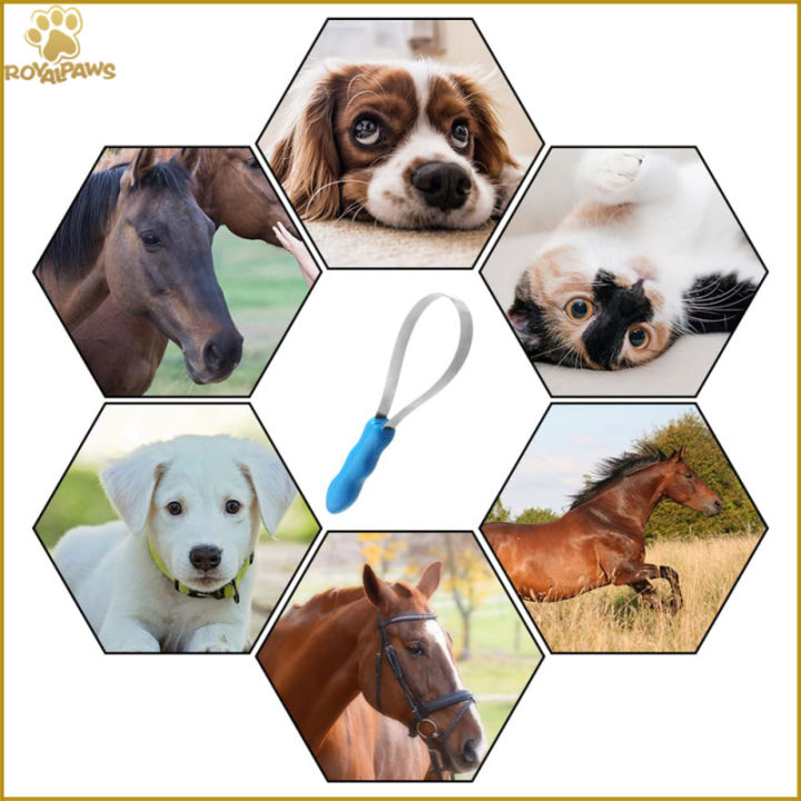 Fast%20Delivery%20Pet%20Shedding%20Blade%20Dual-sided%20Ergonomic%20Design%20Horse%20Hair%20Brush%20Pet%20Grooming%20Tool%20With%20Anti-slip%20Handle%20-%20Image%209