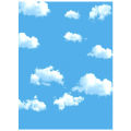 3x5ft Blue Sky White Cloud Photography Backdrop Screen Background Studio Props.
