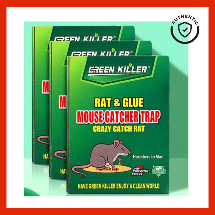 Green Killer Rat Glue Trap – Strong Bond Rodent Catcher (1PCS 3PCS or 6PCS) | China Quality | Bangladesh