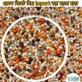 Millet Mix imported 5color for Bird - 1kg. 