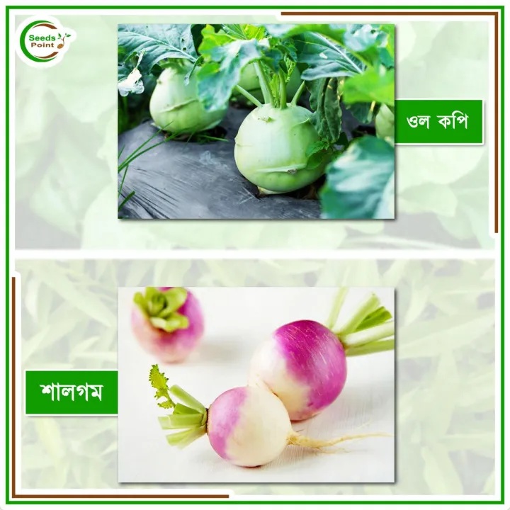 Pissing raqobati Ona va ogil shisha bilan jinsiy aloqada bolishadi