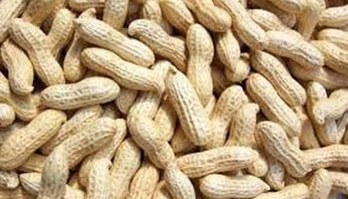 Kacha%20Cheena%20Badam/%20Peanut%20Raw%20Premium%20500gm%20-%20Image%202