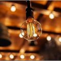 Tungsten Filament Edison Bulb (Bulbs with Holder) - Dim Light. 