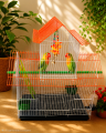Home Shape Big Size China Premium Metal Bird Cage (2025) With All Accessories Cash On Delivery Available.