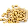 30 Pcs Global Soybean Tree Seeds (?????? ???). 