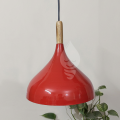 10 inch Pendant lamp shade | Colorful lamp shades | Aluminum body | Glossy color finish | 4 colors.
