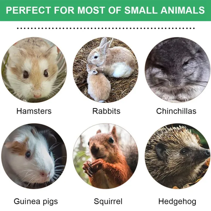 40%20PCS%20Natural%20Mixed%20Grass%20Stick%20Chinchilla%20Chew%20Toys%20for%20Guinea%20Pig%20Rabbit%20Gerbil%20Parrot%20Bunny%20and%20Other%20Small%20Animals%20-%20Image%208