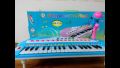 Mini Electronic Keyboard with Microphone Musical Instrument Electronic 37 Keyboard Piano(null). 