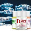 New Fishing Bait Additive Powder Carp Attractive Smell Lure Tackle Food 50g DMPT Accessories Drop Ship. 