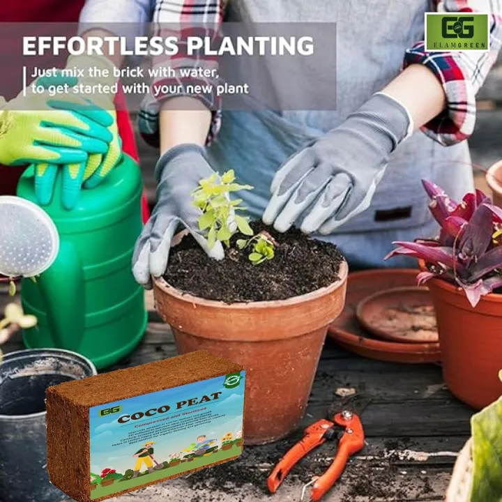 Coco%20Peat%20Block%20500g%20Compressed%20Coco%20Peat%20Brick%20-%20Image%206