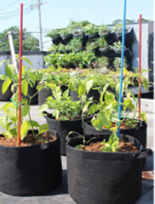 15%20Gallon%20Capacity%20Round%20Shape%20Geo%20Bag%20Geotextile%20Grow%20Bag,%20Pot%20Planter%20for%20Rooftop%20Garden%20and%20Nursery%20Planting%20with%20Handles%20-%20Image%208