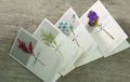 Dried Real Flowers Invitations Postcards Handmade Birthday Card Festival Greeting Card For Wedding Party.