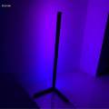 Color Changing RGB Mood Lighting Metal LED Wall Corner Floorlamp. 