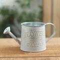 Retro Style Iron , Planter Pots Plant Kettle Flower Arrangement Mini Plant Pot Holder Vintage Style Flower Pot for Party Desktop. 