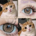 KSSEYE Diamond/Norko Brown Color Contact Lens with regular Kit Box For men & Women. Ksseye Diamond Series. #norkobrown. 
