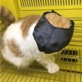Breathable Nylon Cat Muzzles Kitten Face Masks Groomer Helpers Bath Anti-Biting Anti-scratch for Cat Grooming Tools Pet Supplies. 
