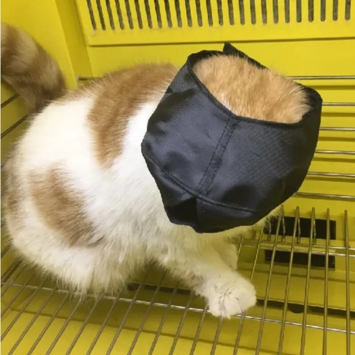 Breathable%20Nylon%20Cat%20Muzzles%20Kitten%20Face%20Masks%20Groomer%20Helpers%20Bath%20Anti-Biting%20Anti-scratch%20for%20Cat%20Grooming%20Tools%20Pet%20Supplies%20-%20Image%205