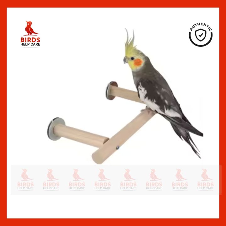 Pet Bird Perch Stand – Durable Cage Accessory for Birds | Ideal for Play & Rest | Bangladesh