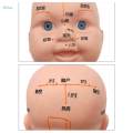 Infant Kid Acupuncture Point Massage Model Human Body Baby-sitter Nurse Tool. 