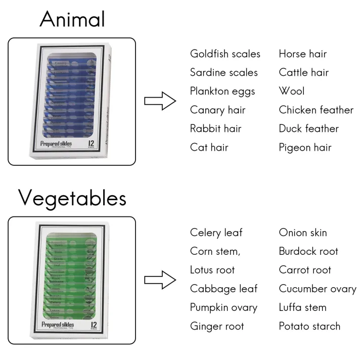 48pcs%20Kids%20Plastic%20Prepared%20Microscope%20Slides%20Of%20Animals%20Insects%20-%20Image%203