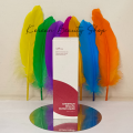Isntree Chestnut BHA 2% Clear Liquid.