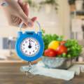 Hanging Weight Scale 10kg Spring Weight Scale Spring Balance Hook Scale. 