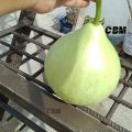 Bindu Lau (15 Seeds) - F-1 Hybrid Bottle Gourd Seeds - বিন্দু লাউ. 