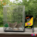 Code- 6045 - 18 x 12 Inches Thin Metal Wire Cage with Tray, Food & Water Pot for Budgerigar,Lovebirds,Finches,Parrots,Hamster,Cockatiel, Chicken,Duck,Quail,Rabbit ,Cat,Dog ,Dove | bird cage house accessories food toy nest harness feeder china decoration.
