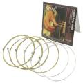 IRIN A101 Steel Core Acoustic Guitar Strings 0.012-0.053 Inch. 