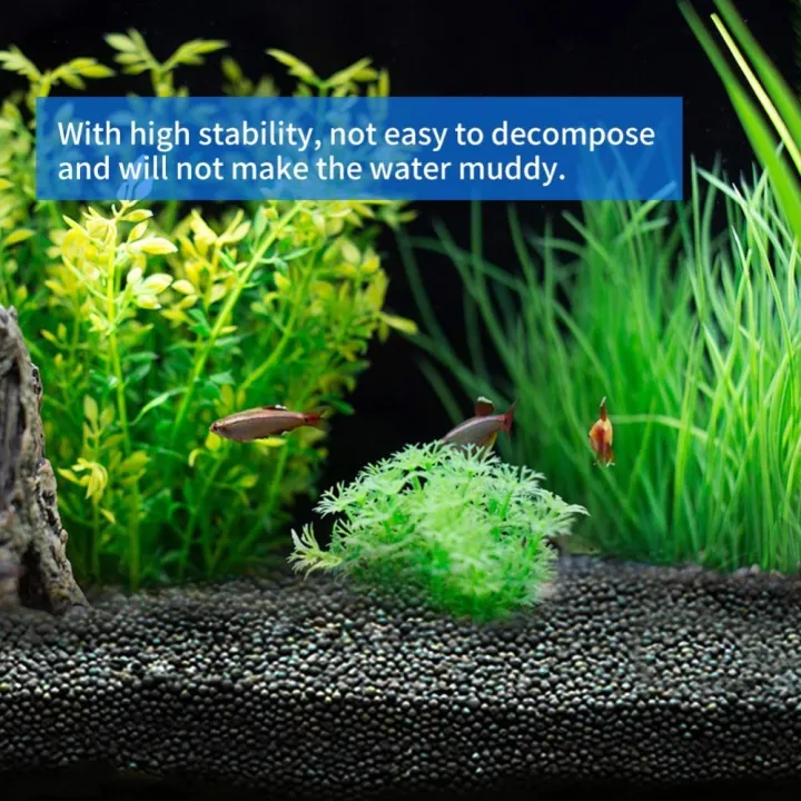 1000%20pcs%20Aquarium%20Grass%20Seeds%20For%20Fish%20Tank%20Plants%20seeds-%201000Pcs%20-%20Image%202