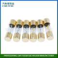 Changzhou Y129 glass tube automotive fuse 10X38MM GLASS FUSE.