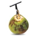Coconut Opener For Fresh Green Coconut Water Open Tools Coconut Opener Tool Cut Gift Fruit Openers Kitchen Tools.