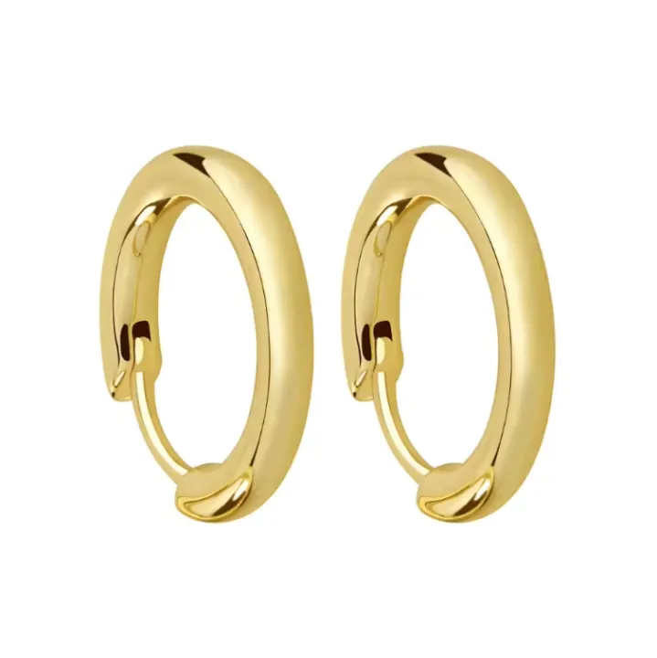 Stainless Steel Earrings for Men Loop Hoop Earrings Piercing | Daraz.com.bd