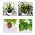 【Big savings】 Mini Artificial Bonsai Small Simulated Pot Office Table Ornaments Podazz.