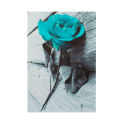 Wall Decor Canvas Gift Flower Floral Back and White Teal Rose Wall Art Picture Large.